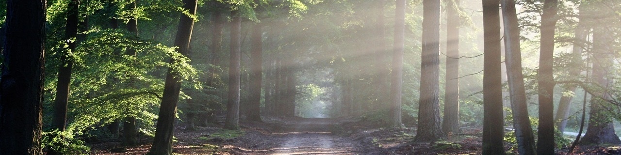 Path of Light