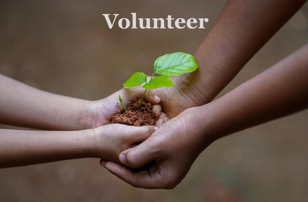 Hands holding Plant